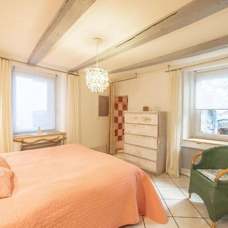 Apartment Classified 3 Stars Located In The Heart Of The Old Town Annecy Eksteriør billede